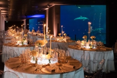 Acquario-delfini